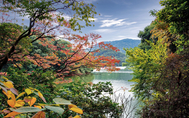 风景