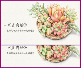 多肉绘画