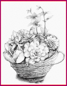 素描 一篮子花