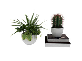 植物盆栽3d模型