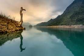 水面