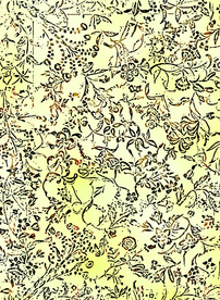 绿植草本剪影背景图