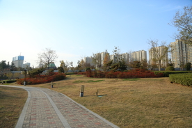 蓝天白云公园小路建筑