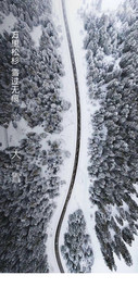 大雪海报