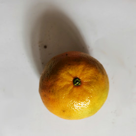 橙