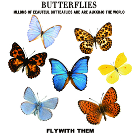 蝴蝶 彩色  T恤  裁片