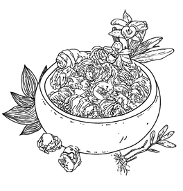 草药 石斛 线稿