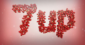 C4D 模型动画樱桃字片头