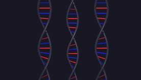 C4D 模型动画DNA模型