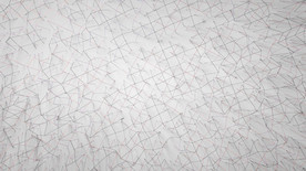 C4D 模型动画低面体线条