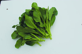 蔬菜  菜苔    白菜