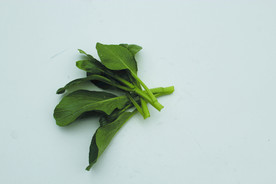 蔬菜  菜苔    白菜