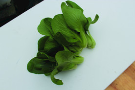 蔬菜   瓢耳白   瓢耳菜