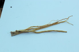 党参  卤料  草药  香料