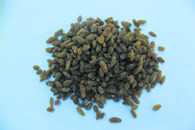 葡萄干  干葡萄  葡萄图片