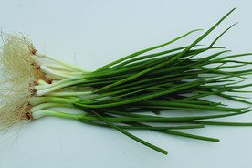 蔬菜 香葱