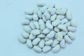 芸豆 白豆 大豆