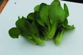 蔬菜   瓢耳白   瓢耳菜