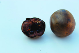 罗汉果   卤料  香料