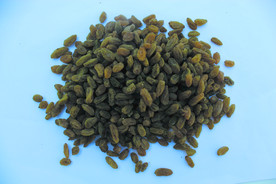 葡萄干  干葡萄  葡萄图片