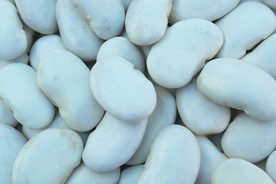 芸豆 白豆 大豆