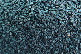 黑芝麻   生芝麻   芝麻粒