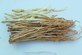 党参  卤料  沙参  草药