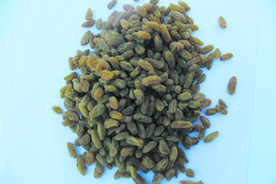 葡萄干  干葡萄  葡萄图片