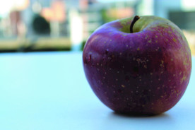 水果    苹果    设计素