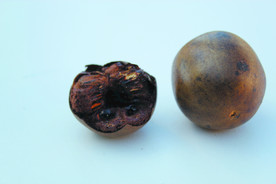 罗汉果   卤料  香料