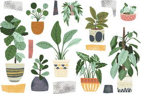 居家植物盆栽矢量插图