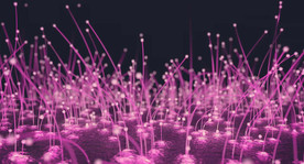 C4D 片头动画真菌蘑菇微生物