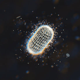C4D 模型晶格线体网格