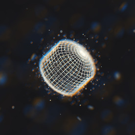 C4D 模型线条线性油罐晶格