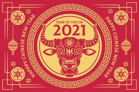 牛 新年展板背景