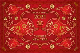 牛 新年展板背景