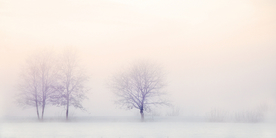 雪景