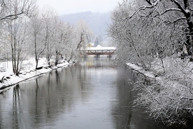 雪景