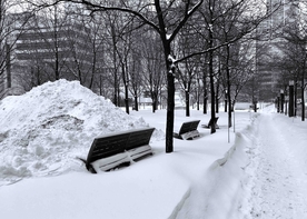 雪景