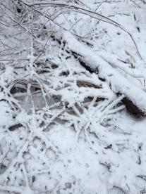 雪景