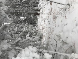 雪景