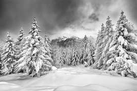 雪景
