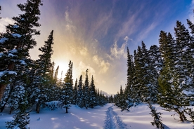 雪景