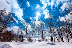 雪景