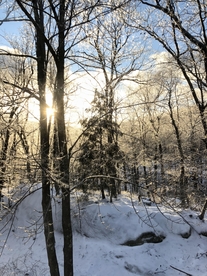 雪景