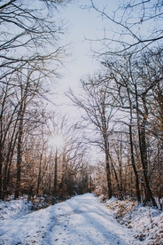 雪景