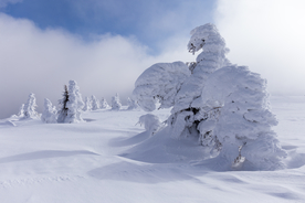 雪景