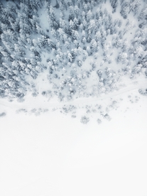 雪景