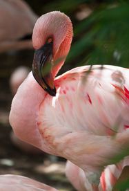 您好 更多消防验收文件请检索