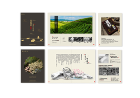 中药传统膏药艾灸液企业画册素材